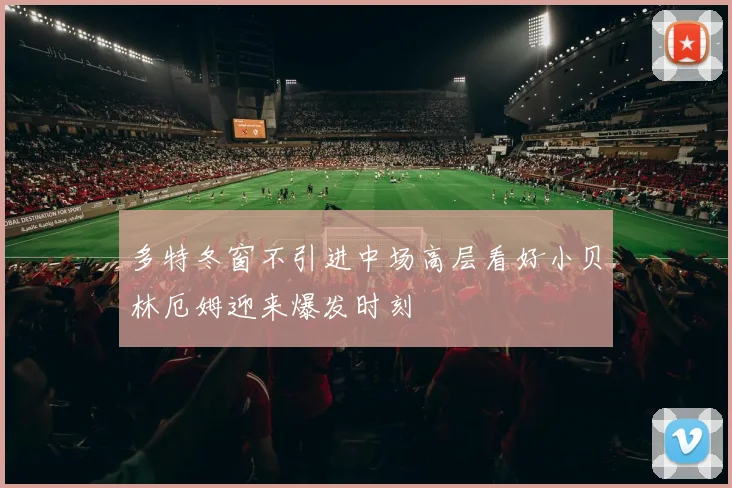 多特冬窗不引进中场高层看好小贝林厄姆迎来爆发时刻