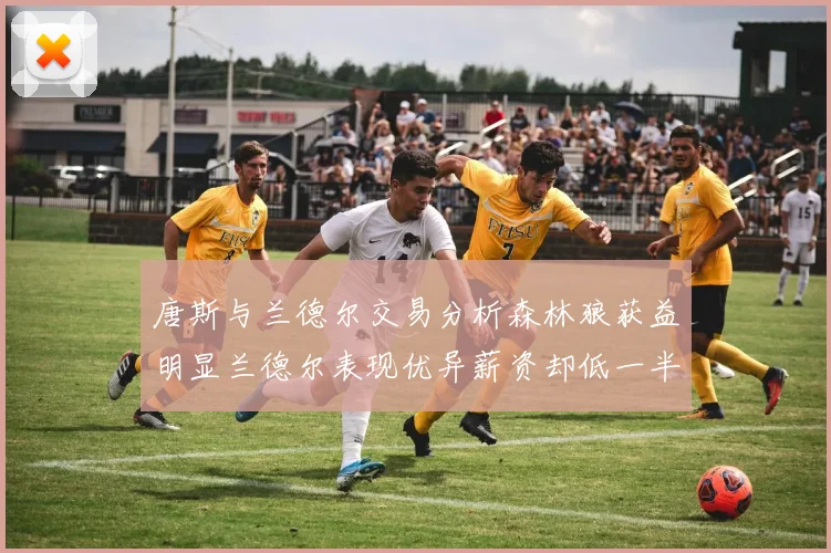 唐斯与兰德尔交易分析森林狼获益明显兰德尔表现优异薪资却低一半