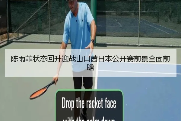 陈雨菲状态回升迎战山口茜日本公开赛前景全面前瞻 | milan